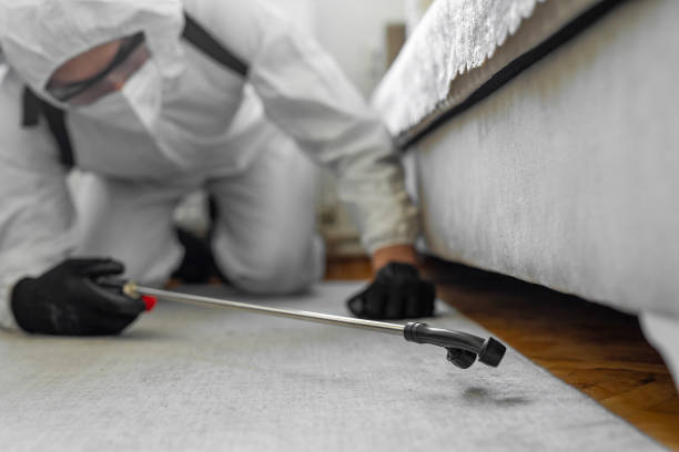 Professional Bed Bug Control technician working in Morris County County, TX
